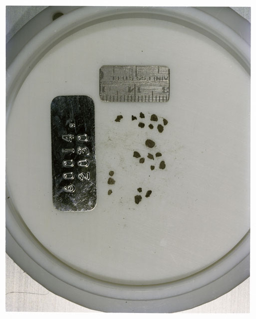 Color photograph of Apollo 16 Core Sample 60014,2030; Processing photograph displaying >1 MM Core Fines .