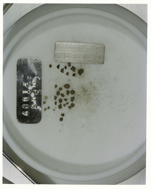 Color photograph of Apollo 16 Core Sample 60014,2050; Processing photograph displaying >1 MM Core Fines .
