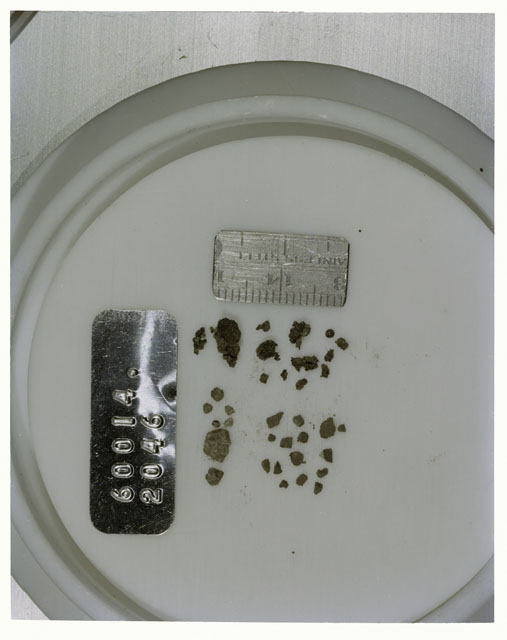 Color photograph of Apollo 16 Core Sample 60014,2046; Processing photograph displaying >1 MM Core Fines .