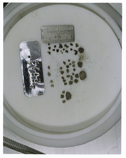 Color photograph of Apollo 16 Core Sample 60014,2079; Processing photograph displaying >1 MM Core Fines .