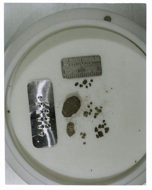Color photograph of Apollo 16 Core Sample 60014,2067; Processing photograph displaying Core Fines .