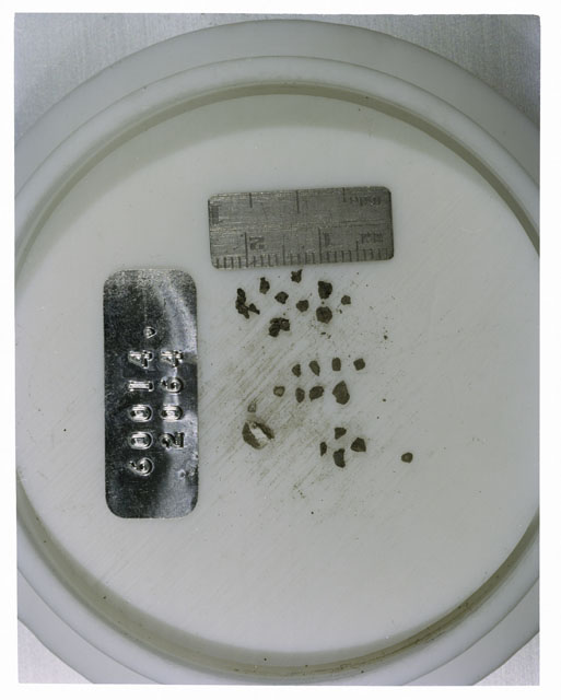 Color photograph of Apollo 16 Core Sample 60014,2064; Processing photograph displaying >1 MM Core Fines .