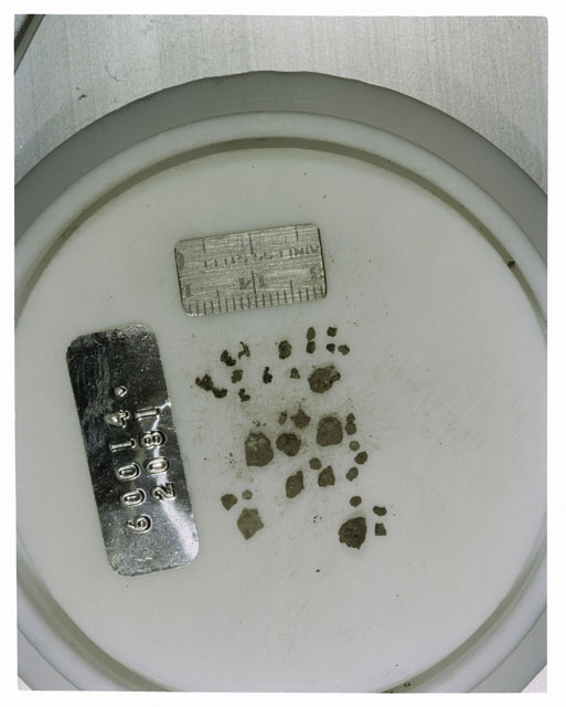 Color photograph of Apollo 16 Core Sample 60014,2081; Processing photograph displaying >1 MM Core Fines .