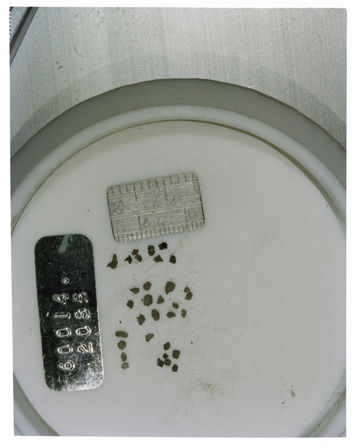 Color photograph of Apollo 16 Core Sample 60014,2085; Processing photograph displaying >1 MM Core Fines .