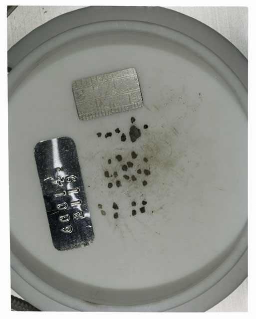 Color photograph of Apollo 16 Core Sample 60014,2119; Processing photograph displaying >1 MM Core Fines .