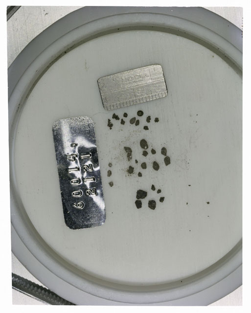 Color photograph of Apollo 16 Core Sample 60014,2121; Processing photograph displaying >1 MM Core Fines .