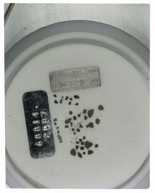 Color photograph of Apollo 16 Core Sample 60014,2087; Processing photograph displaying >1 MM Core Fines .