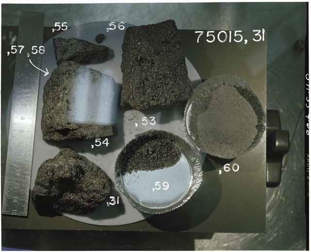 Color Photograph of Apollo 17 Samples 75015,31 and ,53-60; Processing photo displaying sample splits.