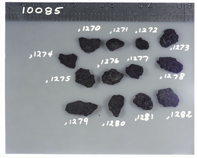 Color photograph of Apollo 11 Sample(s) 10085,1270-1282; Processing photograph displaying fines group.