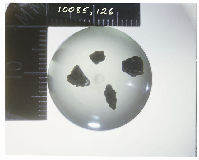 Color photograph of Apollo 11 Sample(s) 10085,126; Processing photograph displaying Button .