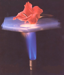 Photo of an aerogel sample with a flower on top being heated with a burner